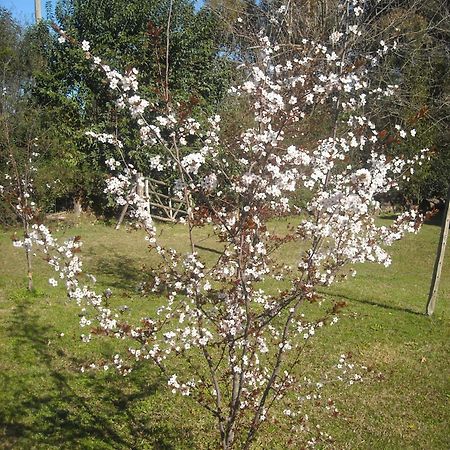 Cabanas Las Lavandas En Pilar Πιλάρ Εξωτερικό φωτογραφία