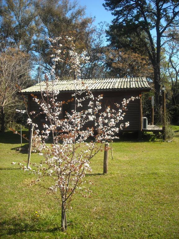Cabanas Las Lavandas En Pilar Πιλάρ Εξωτερικό φωτογραφία