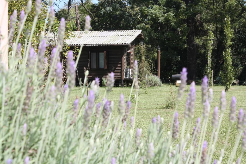 Cabanas Las Lavandas En Pilar Πιλάρ Εξωτερικό φωτογραφία